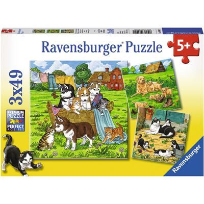 Spiel 3098.0